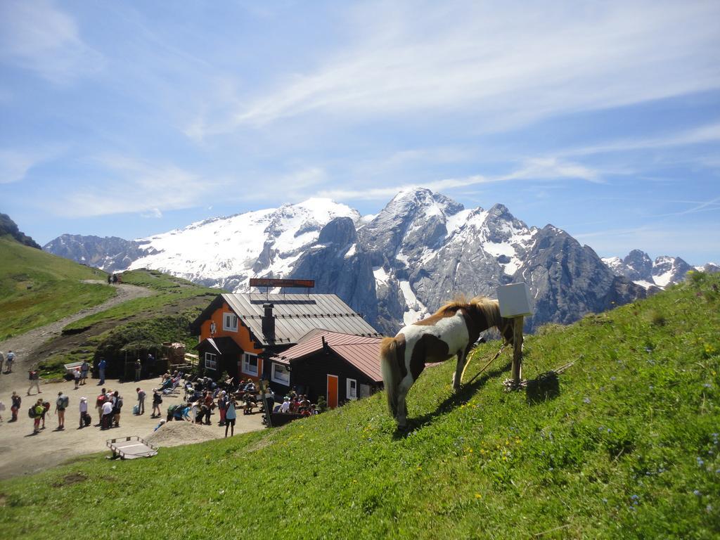 Sella Ronda Apartment Campitello di Fassa Buitenkant foto