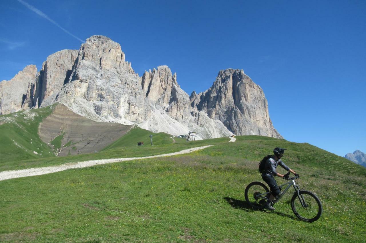 Sella Ronda Apartment Campitello di Fassa Buitenkant foto